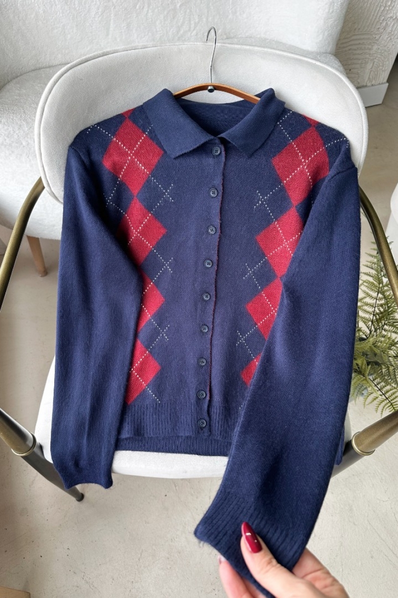 Ernest Lacivert Hırka