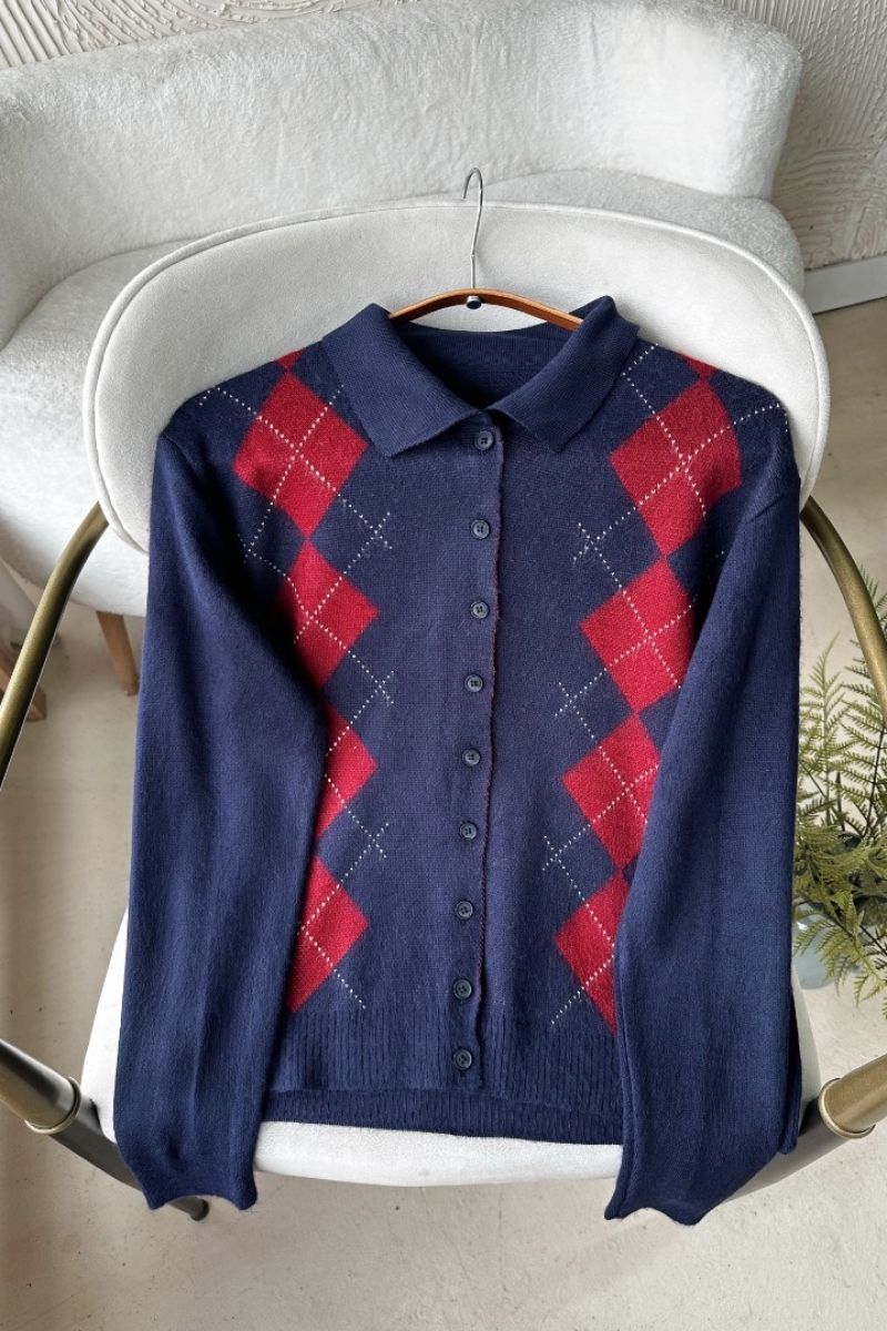 Ernest Lacivert Hırka