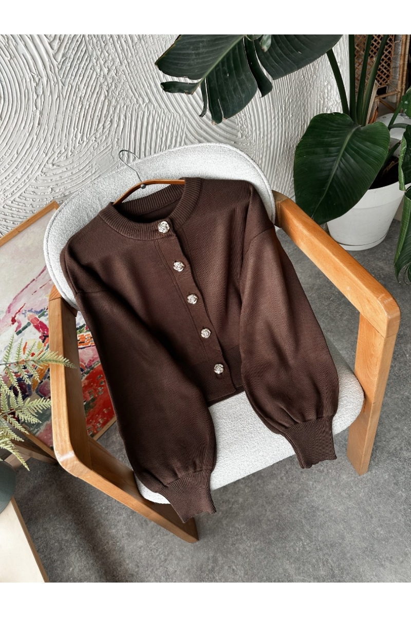 Larry Kahverengi Hırka