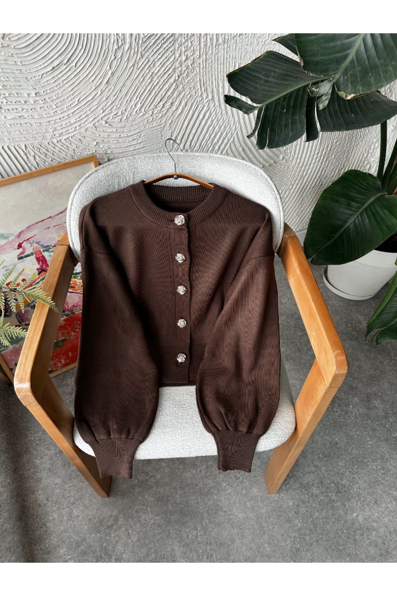 Larry Kahverengi Hırka